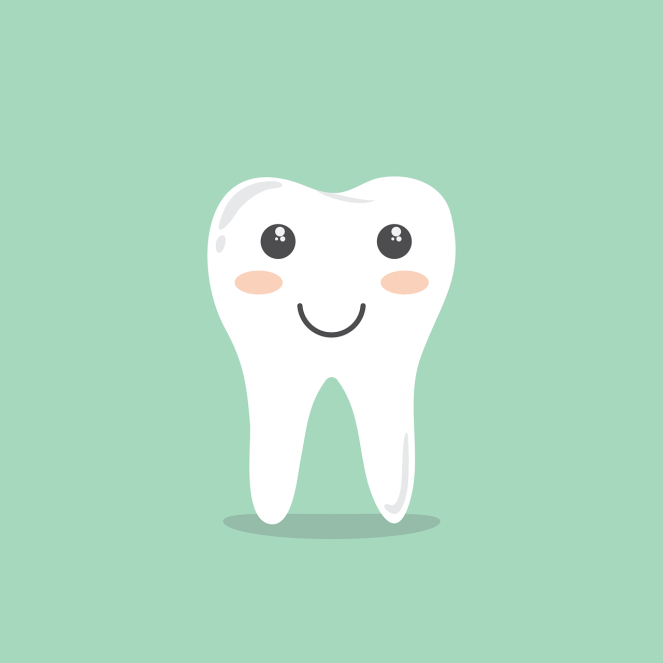 teeth-1670434_1280.png
